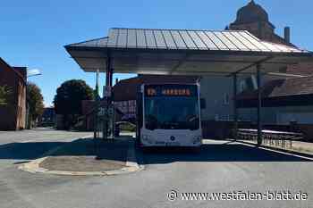 Wie gut sind die Busse in Borgentreich ausgelastet?