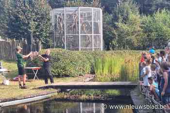 Opvangcentrum lokt nieuwsgierige vogels