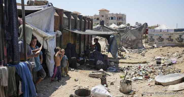 Al via nella Striscia di Gaza la campagna di vaccinazione contro la poliomielite. Msf: “A Jenin l’Idf ostacola l’accesso alle cure”