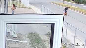 Regina police find dogs believed to be responsible for attack, arrest man