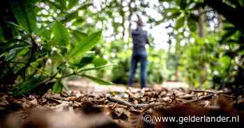 Dit is een serieverkrachter, merkt de politie na vijf aangiftes. Slachtoffer: 'Waren ze maar eerder in actie gekomen’