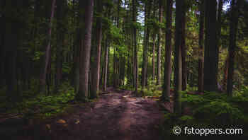 Maximize Your Photo Adventure Budget: 6 Tips to Save Money