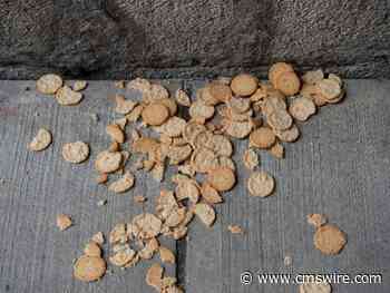 Ditch the Cookies: Embrace First-Party Data for Smarter Marketing