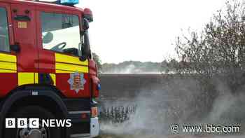 Fire spreads across eight hectares of land