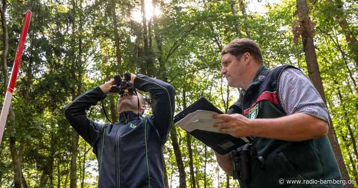 Warum 2024 ein wenig Hoffnung für den Wald in Bayern gibt