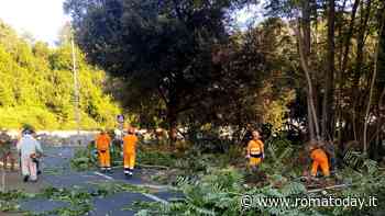 Panoramica Monte Mario, bonifica conclusa: "Ora lavori su strada e segnaletica"