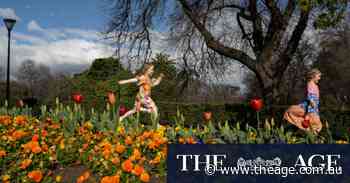 Melbourne in bloom: Where to see spring flowers in the city