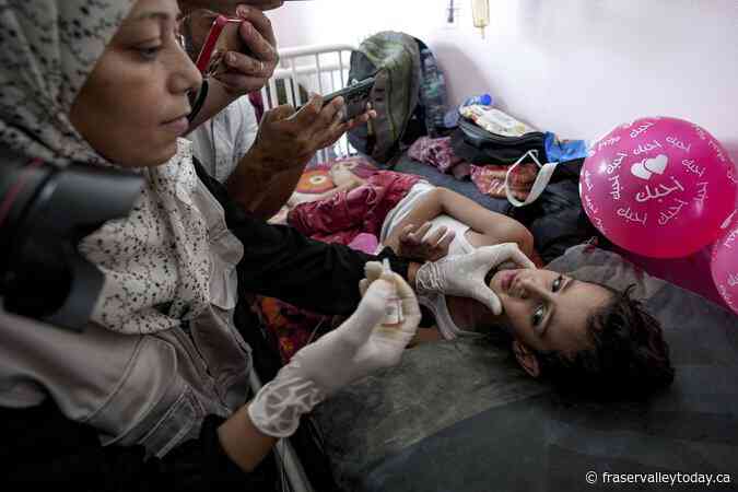Large-scale polio vaccinations begin in war-ravaged Gaza