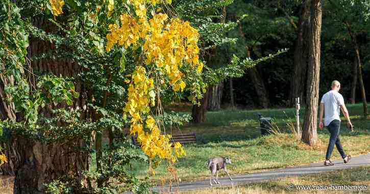 Erste Herbstwoche wird wechselhafter, aber warm
