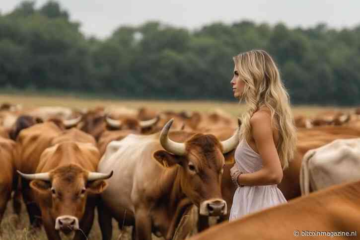 Bitcoin onchain-indicator geeft gunstig signaal: $58.500 is ideale koopkans”
