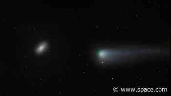 Astrophotographer captures Comet 13P/Olbers and the Black Eye Galaxy M64 in stunning detail (photo)
