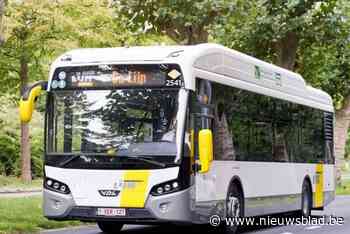 De Lijn breidt aantal ritten van en naar Hamme en Moerzeke gevoelig uit, ook op zaterdag