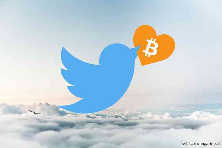 Cardano oprichter lanceert gedecentraliseerd social media platform in Brazilië na verbieden X