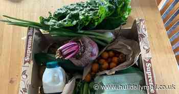 I tried a vegetable box from an East Yorkshire farm and it revolutionised how I ate