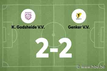 Genk VV speelt gelijk in uitwedstrijd tegen Godsheide