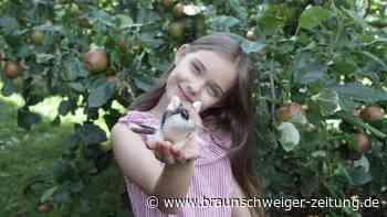 9-Jährige aus dem Südharz: WDR vertont ihre preisgekrönte Geschichte