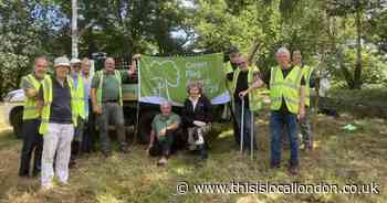 Wild Things: Join the fight for nature