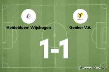 Genk VV B speelt gelijk tegen Wijshagen