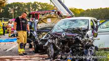 Spookrijder zorgt voor ravage en twee zwaargewonden bij Gelderse Dieren