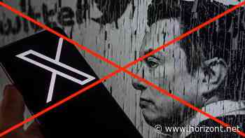 Verbreitung von Hass und Hetze: Richter lässt Onlinedienst X in Brasilien sperren