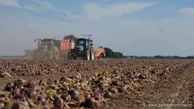 Een rode ui is geen gele ui blijkt wel weer