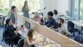 Quoten und Co.: Wieso Unternehmen Pläne zur Vielfalt verabschieden sollten