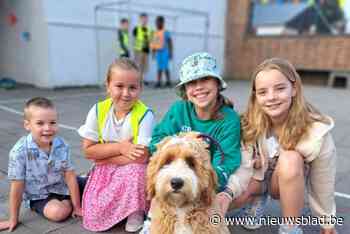 Nieuwe aanwinst voor De Regenboog: zorghond Pablo