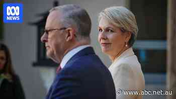 PM offers to water down planned environmental watchdog to secure Coalition support