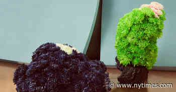 The Chrysanthemum Is No Longer Just for Grocery Store Bouquets