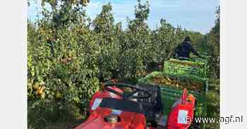 "Dankzij actie Boerschappen en No Waste Army is het rendabel om beschadigd fruit te plukken"