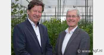 Hans Huistra neemt stokje over als CEO van Royal HZPC Group