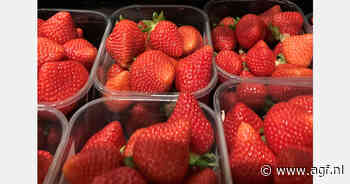 "Aardbeienmarkt opgeleefd, frambozenprijs onder druk"