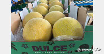 Eerste Braziliaanse meloenen deze week binnen