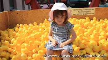 Spektakel in Bad Wörishofen: Entenrennen als Publikumsmagnet