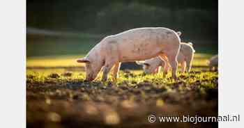 "Boeren al generaties lang op deze locatie"