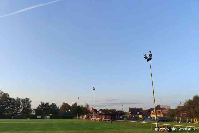 Ooievaarskolonie kampeert op Sinaaise lichtmasten