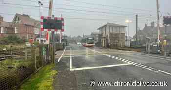 New bus introduced to link Northumberland coast to trains at Chathill station