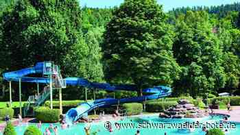 Online-Ranking: Wie gut sind die Freibäder im Kreis Calw?