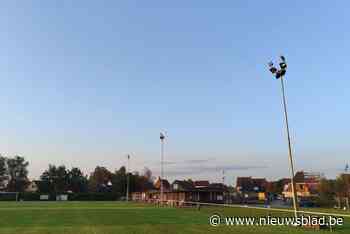 Ooievaarskolonie kampeert op lichtmasten van voetbalclub: “Nederlandse vogels op weg naar het zuiden”