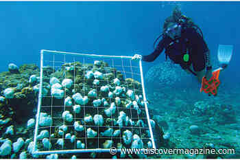 The Heat Goes On: New Details Emerge About the Extent and Severity of Record-Setting Global Warmth