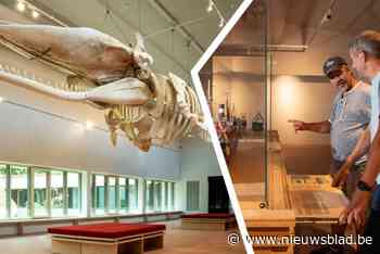 IN BEELD. Eerste blik van vernieuwde Navigo Visserijmuseum