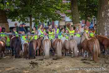 Eerste schooldag meteen op stap: Jaarmarkt lokt 900 leerlingen
