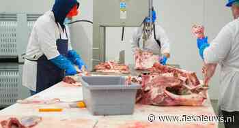 Minister overweegt verbod op uitzendarbeid in de vleessector
