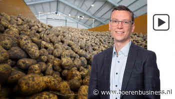 De aanhouder wint, ook op de aardappelmarkt