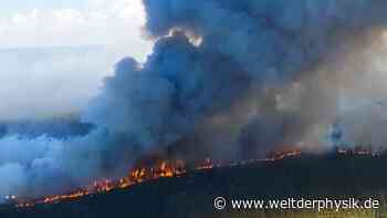 Atlas der Waldbrände