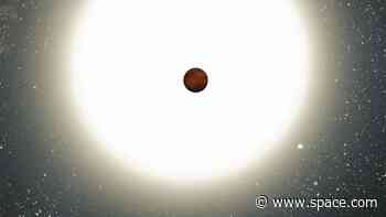 'Warm Jupiter' exoplanet 300 light-years away found by amateur astronomers