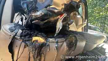 Lithium-Batterie entzündet Kinderbuch: Familienauto geht in Flammen auf