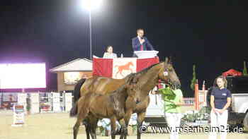 Rekordpreise bei erster Fohlenauktion auf Gut Ising: 35.000 Euro für „Count on me“