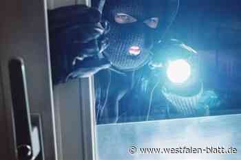 Einbrecherbande soll Betriebe in Delbrück und Hövelhof bestohlen haben