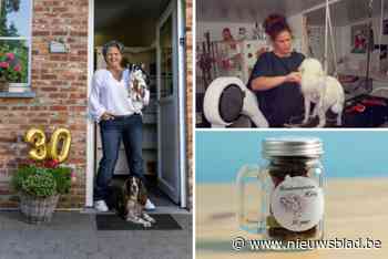 Het begon in een ‘kot’ met golfplaten, intussen verzorgt Kelly al 30 jaar hondjes: “Ik haal hier nog steeds zó veel liefde uit”